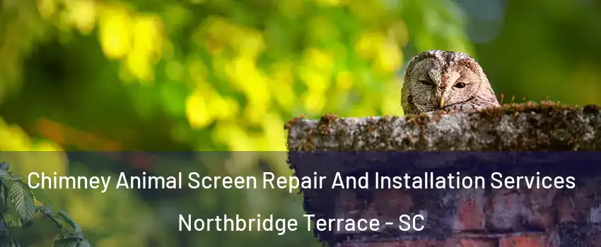 Chimney Animal Screen Repair And Installation Services Northbridge Terrace - SC