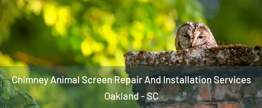 Chimney Animal Screen Repair And Installation Services Oakland - SC