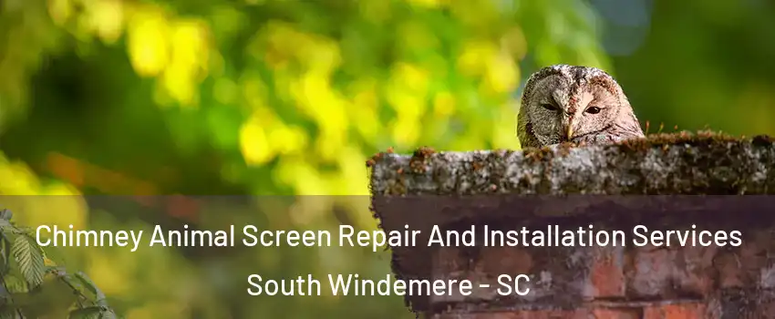 Chimney Animal Screen Repair And Installation Services South Windemere - SC