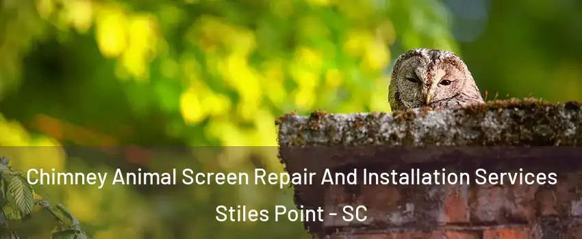 Chimney Animal Screen Repair And Installation Services Stiles Point - SC