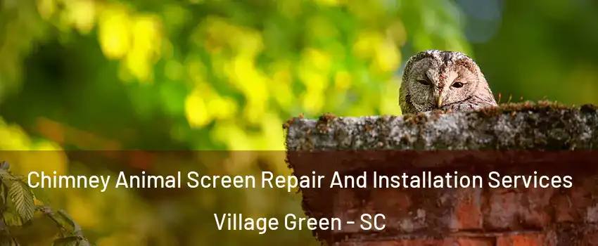 Chimney Animal Screen Repair And Installation Services Village Green - SC