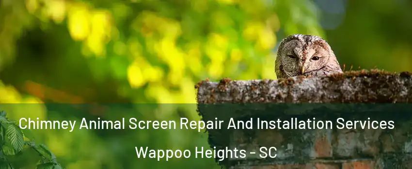 Chimney Animal Screen Repair And Installation Services Wappoo Heights - SC