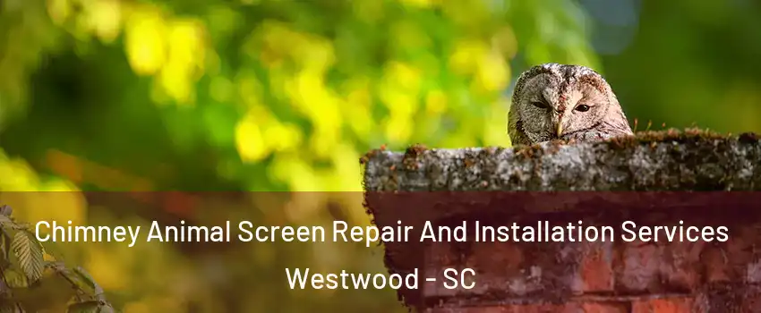 Chimney Animal Screen Repair And Installation Services Westwood - SC