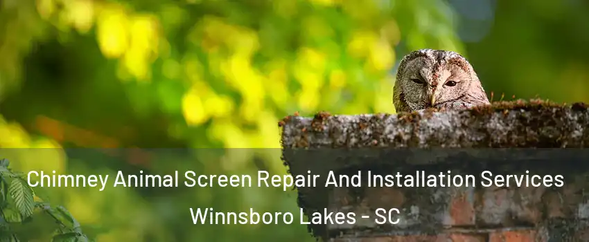 Chimney Animal Screen Repair And Installation Services Winnsboro Lakes - SC