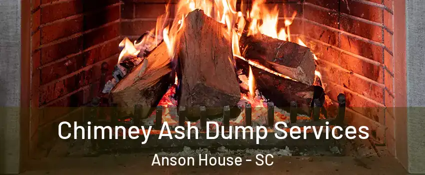 Chimney Ash Dump Services Anson House - SC