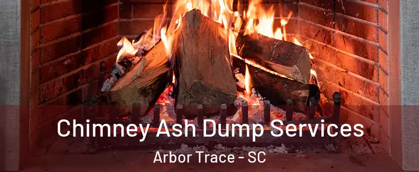 Chimney Ash Dump Services Arbor Trace - SC