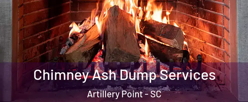 Chimney Ash Dump Services Artillery Point - SC