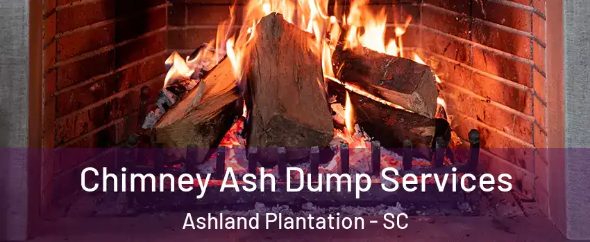 Chimney Ash Dump Services Ashland Plantation - SC