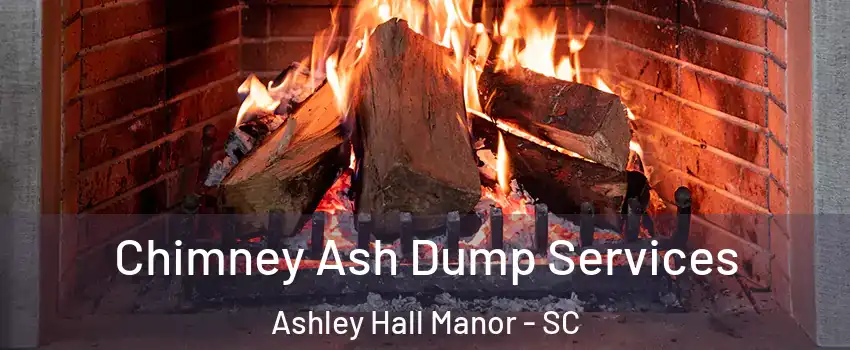 Chimney Ash Dump Services Ashley Hall Manor - SC