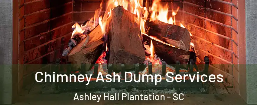 Chimney Ash Dump Services Ashley Hall Plantation - SC