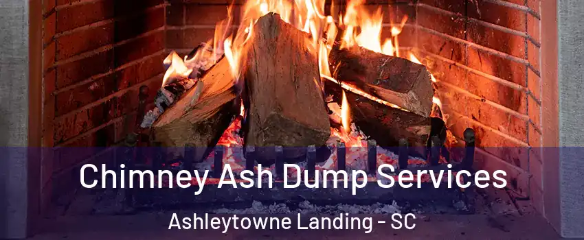 Chimney Ash Dump Services Ashleytowne Landing - SC