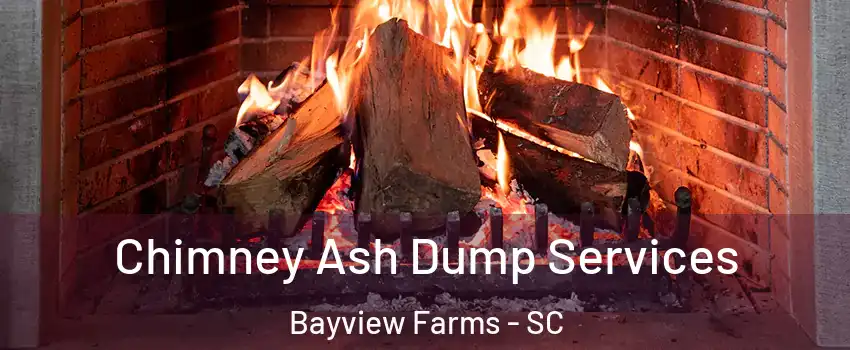 Chimney Ash Dump Services Bayview Farms - SC