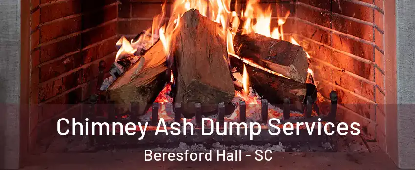 Chimney Ash Dump Services Beresford Hall - SC