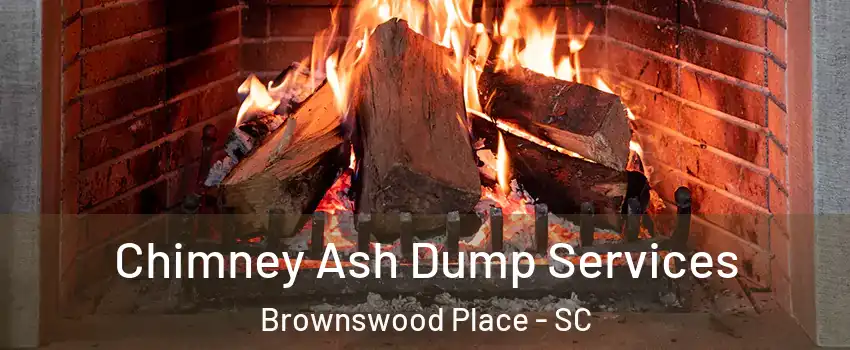 Chimney Ash Dump Services Brownswood Place - SC