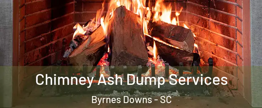 Chimney Ash Dump Services Byrnes Downs - SC