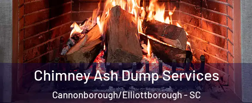 Chimney Ash Dump Services Cannonborough/Elliottborough - SC