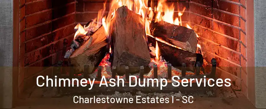 Chimney Ash Dump Services Charlestowne Estates I - SC