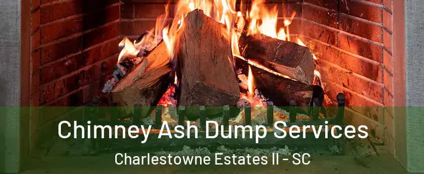 Chimney Ash Dump Services Charlestowne Estates II - SC