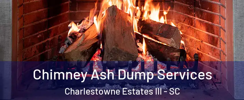 Chimney Ash Dump Services Charlestowne Estates III - SC