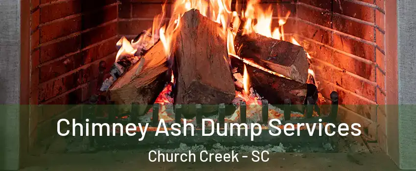 Chimney Ash Dump Services Church Creek - SC