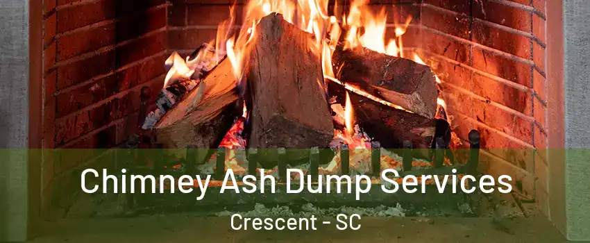 Chimney Ash Dump Services Crescent - SC