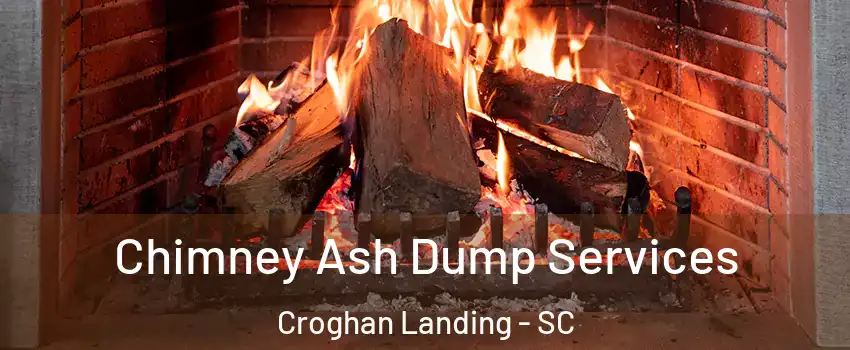 Chimney Ash Dump Services Croghan Landing - SC