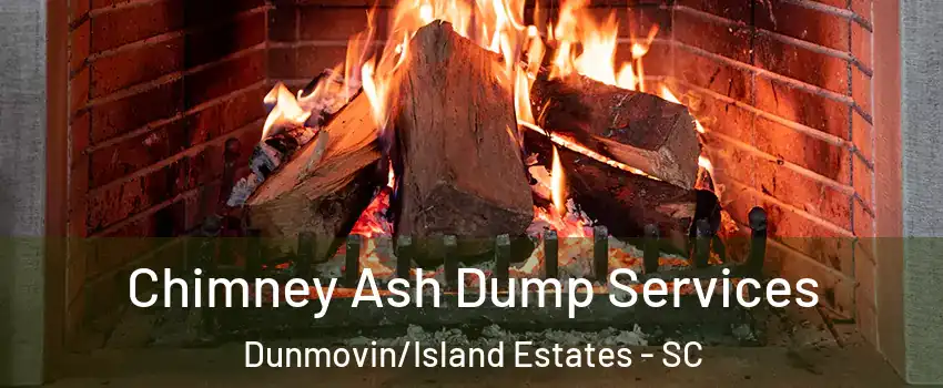 Chimney Ash Dump Services Dunmovin/Island Estates - SC