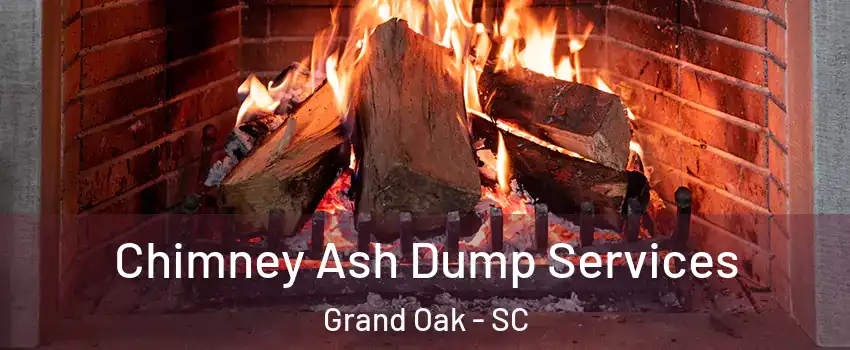 Chimney Ash Dump Services Grand Oak - SC