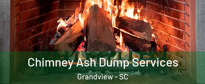 Chimney Ash Dump Services Grandview - SC