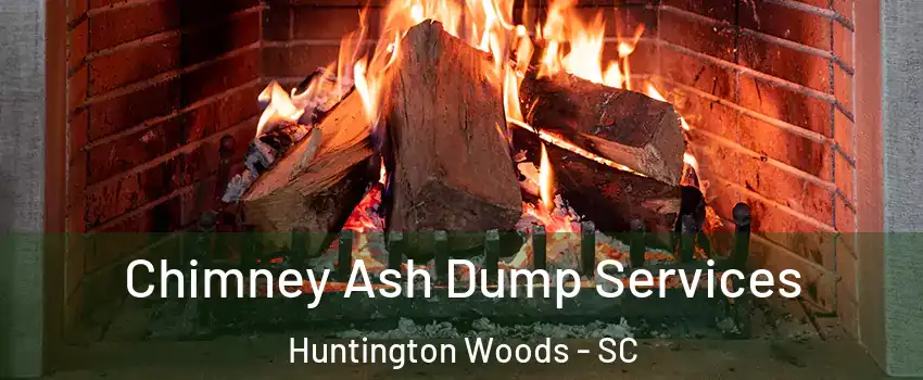 Chimney Ash Dump Services Huntington Woods - SC