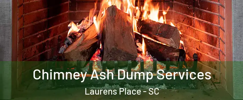 Chimney Ash Dump Services Laurens Place - SC