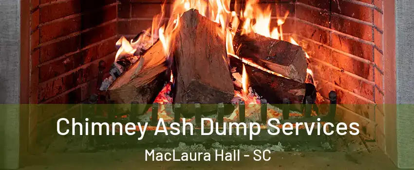 Chimney Ash Dump Services MacLaura Hall - SC