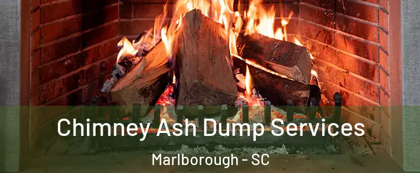 Chimney Ash Dump Services Marlborough - SC