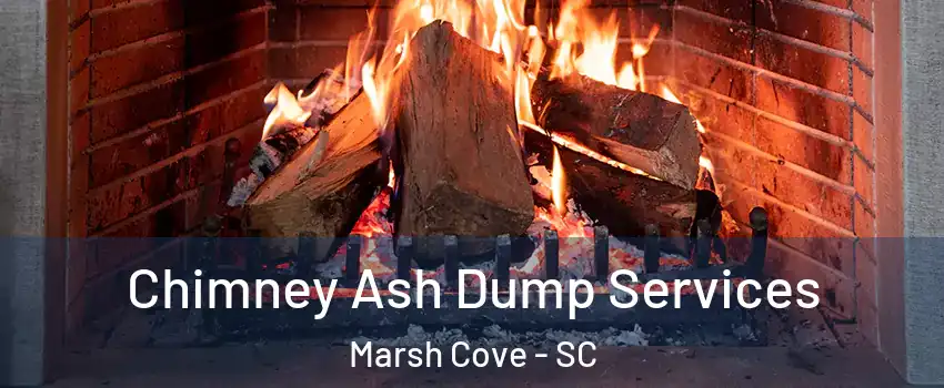 Chimney Ash Dump Services Marsh Cove - SC