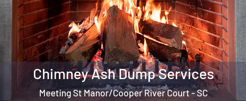 Chimney Ash Dump Services Meeting St Manor/Cooper River Court - SC