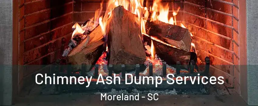 Chimney Ash Dump Services Moreland - SC