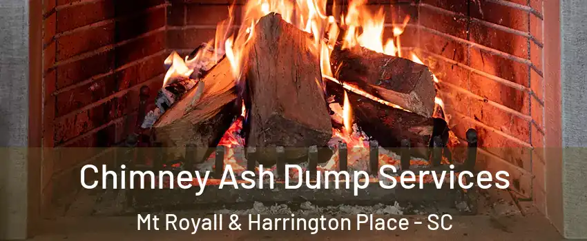 Chimney Ash Dump Services Mt Royall & Harrington Place - SC