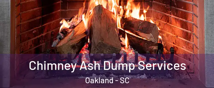 Chimney Ash Dump Services Oakland - SC