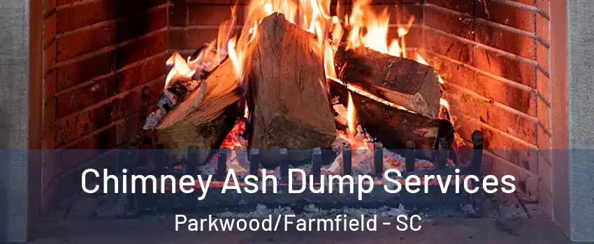 Chimney Ash Dump Services Parkwood/Farmfield - SC