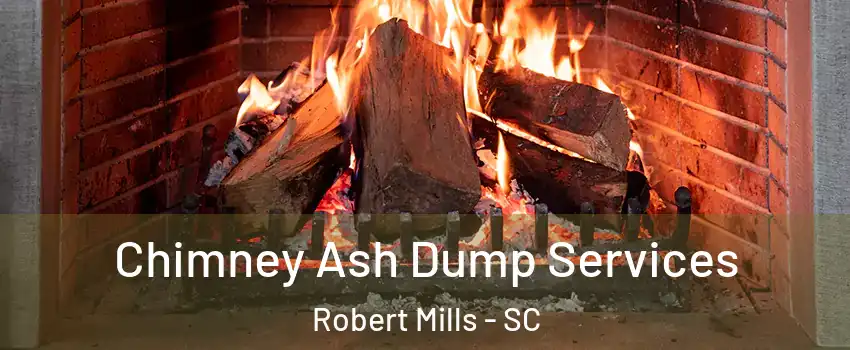 Chimney Ash Dump Services Robert Mills - SC