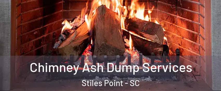 Chimney Ash Dump Services Stiles Point - SC