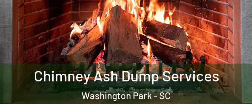 Chimney Ash Dump Services Washington Park - SC