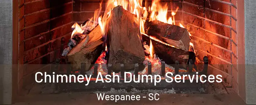 Chimney Ash Dump Services Wespanee - SC