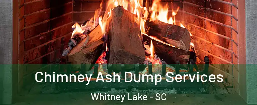 Chimney Ash Dump Services Whitney Lake - SC