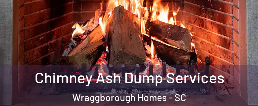 Chimney Ash Dump Services Wraggborough Homes - SC