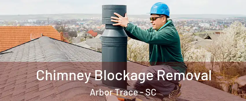 Chimney Blockage Removal Arbor Trace - SC