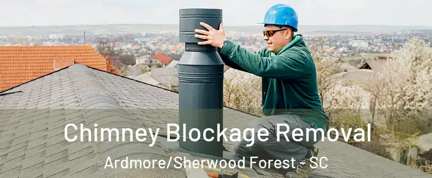 Chimney Blockage Removal Ardmore/Sherwood Forest - SC