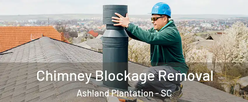 Chimney Blockage Removal Ashland Plantation - SC