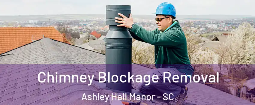 Chimney Blockage Removal Ashley Hall Manor - SC