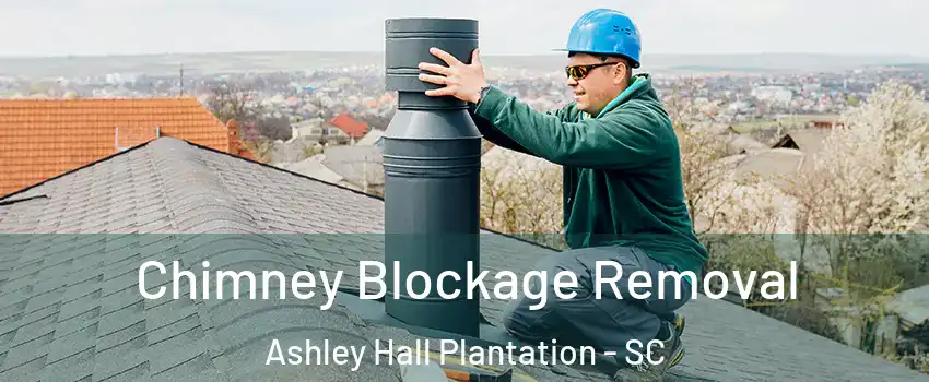 Chimney Blockage Removal Ashley Hall Plantation - SC